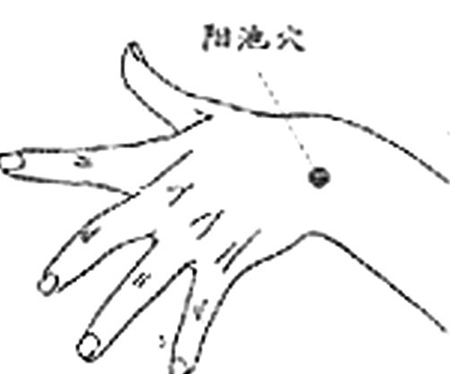 陽池穴→舒筋活血