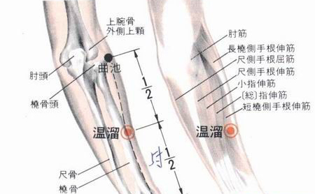 溫溜穴→清熱理氣