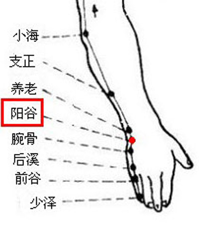 陽(yáng)谷穴→明目安神