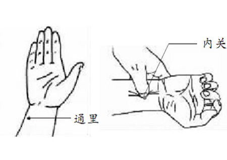 通里穴→預(yù)防心血管疾病