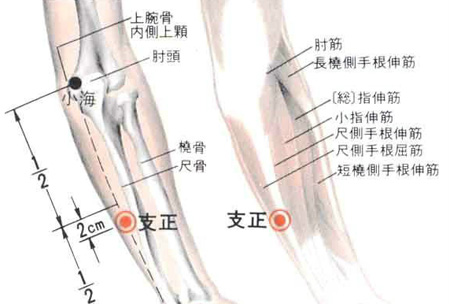 支正穴→治頭痛、目眩