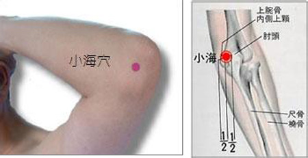 小海穴→治貧血、頭痛