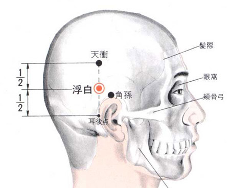 浮白穴→治頭痛、耳嗚