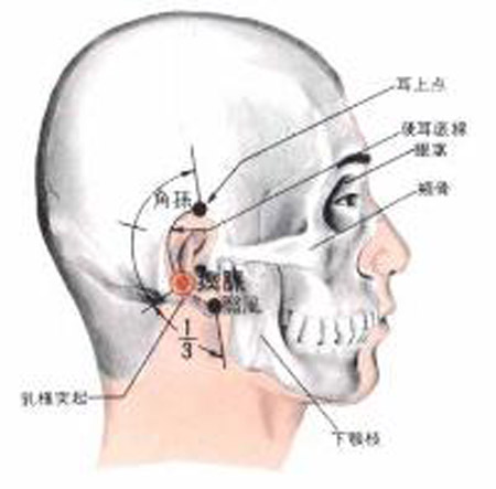 瘈脈穴→頭痛、耳聾
