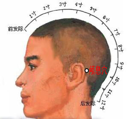 顱息穴→治頭痛、耳痛