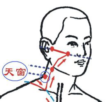 天窗穴→治耳鳴、耳聾