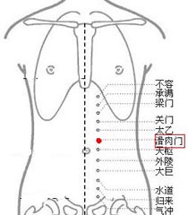 滑肉門穴→鎮(zhèn)靜安神