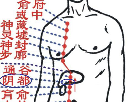 陰都穴→治腹脹、胃痛