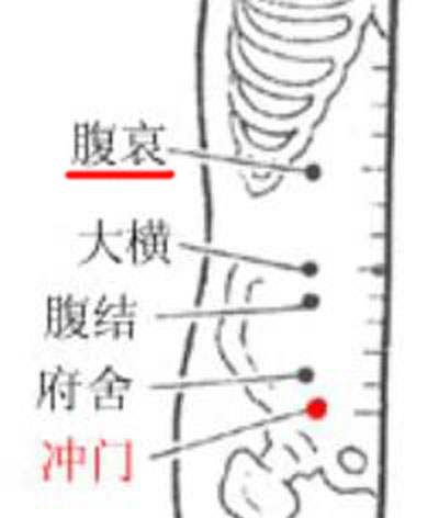 腹哀穴→治腹痛、便秘