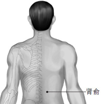 腎俞穴→強(qiáng)腰利水