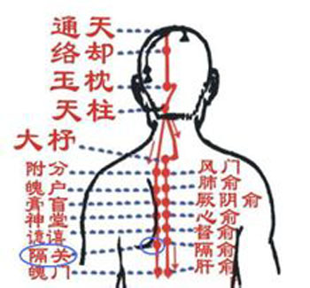 膈關(guān)穴→治胸悶、噯氣