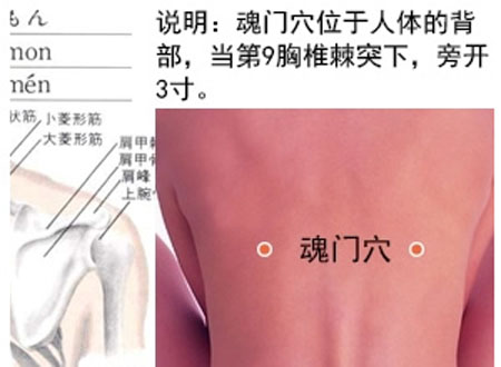 魂門穴→治胸脅痛、嘔吐