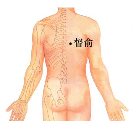 督俞穴→治心痛、胸悶