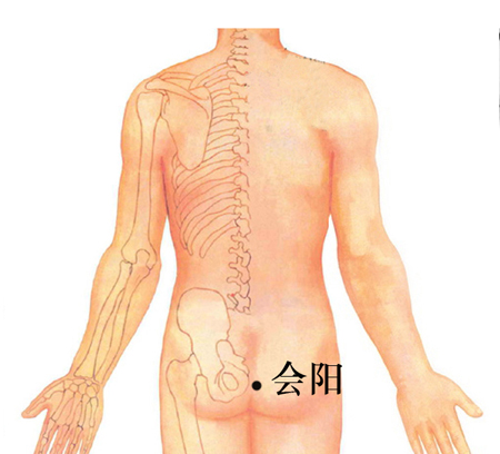 會陽穴→治泄瀉、便血