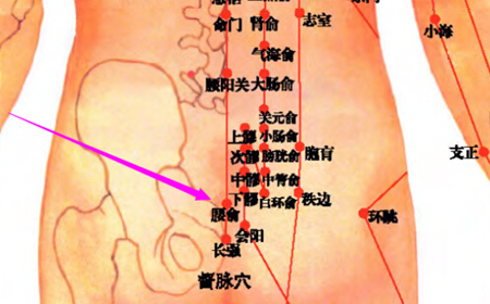 腰俞穴→治腰脊強(qiáng)痛