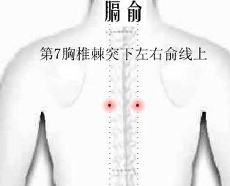 膈俞穴→治嘔吐、呃逆