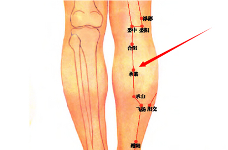 承筋穴→強(qiáng)健腰膝