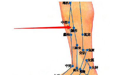 漏谷穴→治腹脹、腸鳴