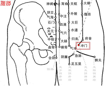 沖門穴→治腹痛、帶下