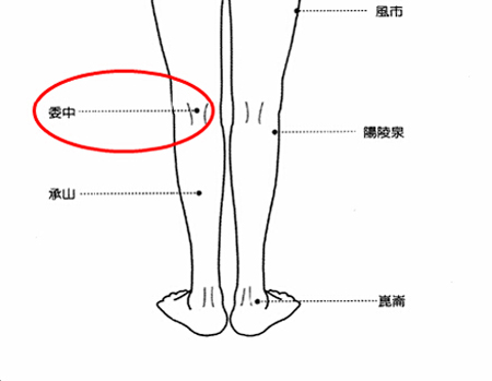 委中穴→治腰痛、腹痛。