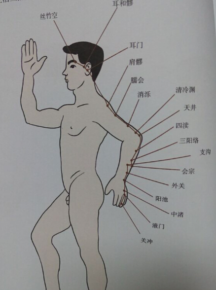 手少陽三焦經(jīng)拔罐線路