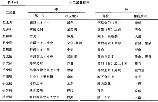 經(jīng)絡的標本