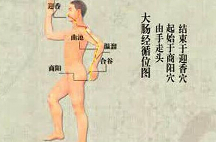 刮痧刮大腸經(jīng)，可以清理腸道、排出宿便