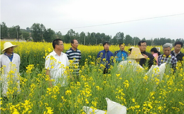 中國中醫(yī)科學(xué)院研發(fā)實(shí)驗(yàn)服務(wù)基地建設(shè)項(xiàng)目獲驗(yàn)收