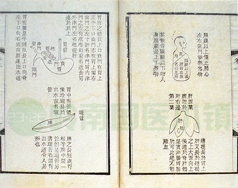 《醫(yī)林改錯(cuò)》書(shū)影