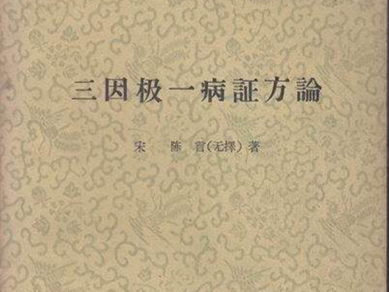 《三因極一病證方論》