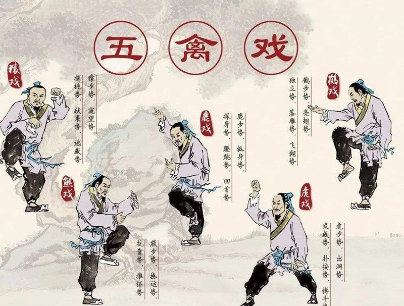 華佗，外科鼻祖，發(fā)明麻沸散、五禽戲