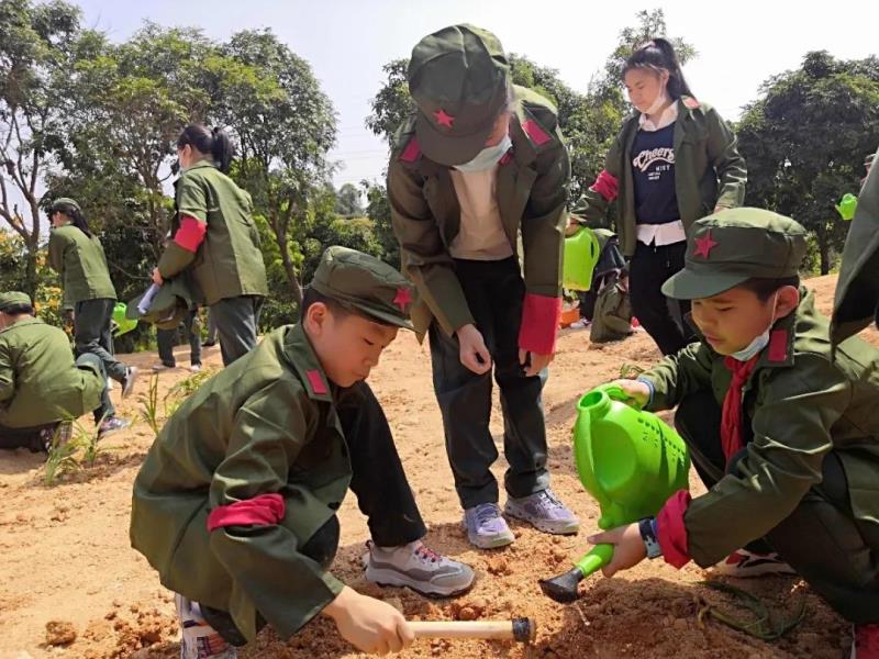 勞動實踐：種植萱草