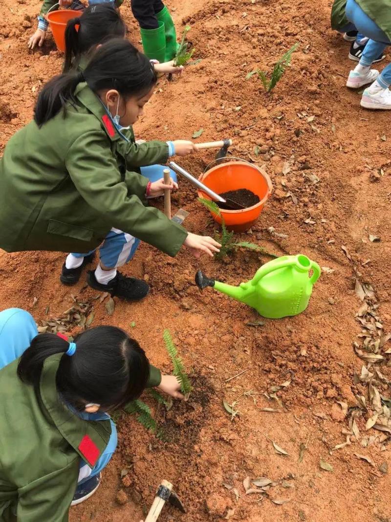 勞動實踐