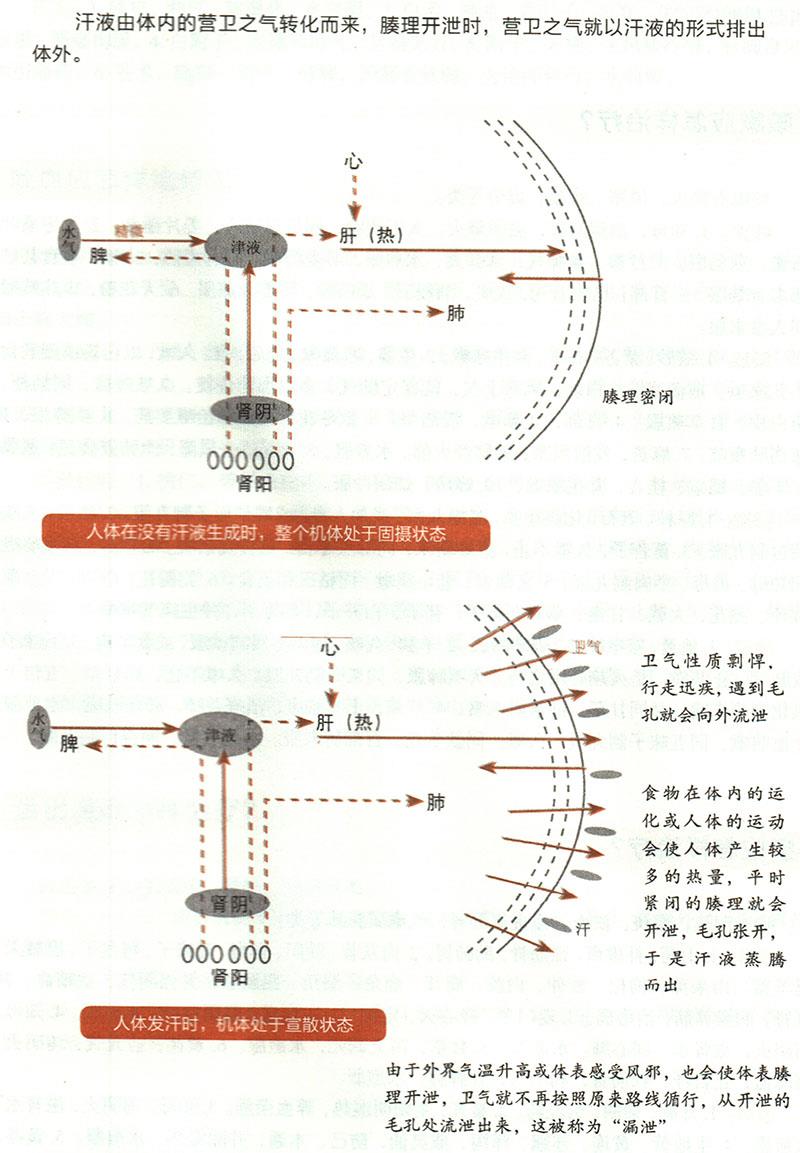 諸汗應(yīng)怎樣治療？