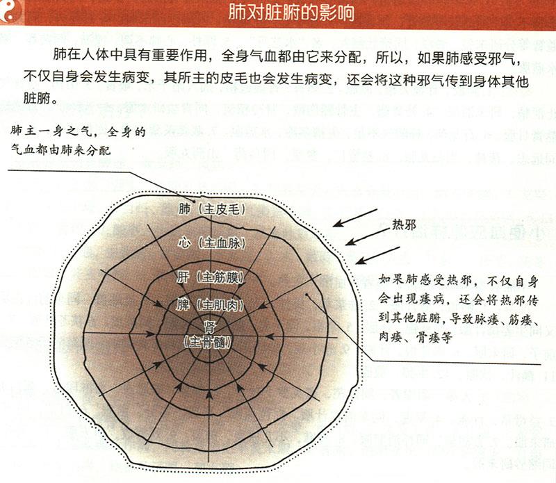 陰痿應(yīng)怎樣治療？