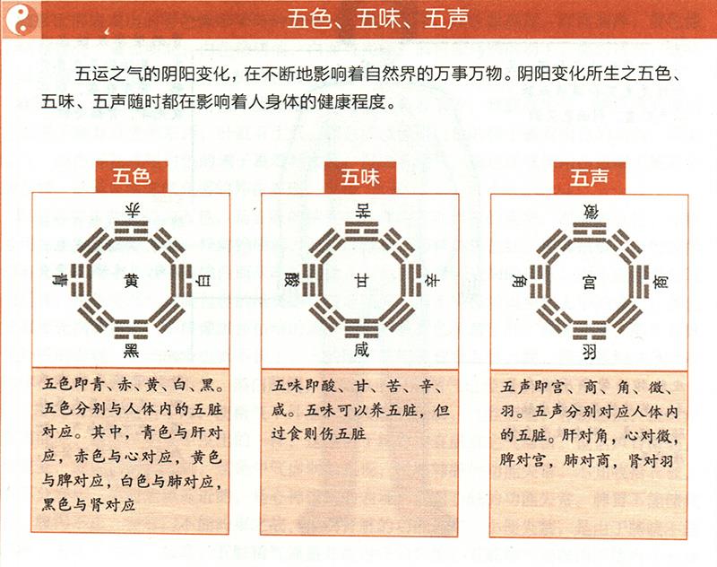 臟腑功能如何在體表上顯現(xiàn)？