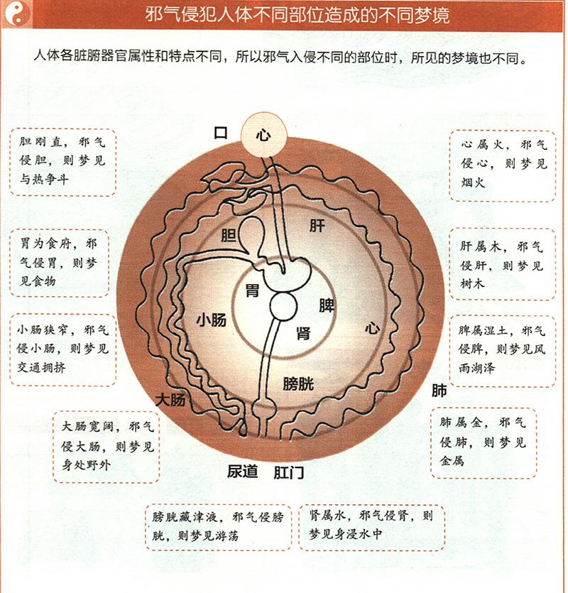 如何從夢(mèng)境推算健康？