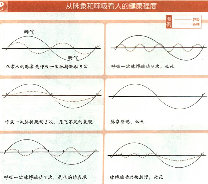 如何從脈象和呼吸推算健康？