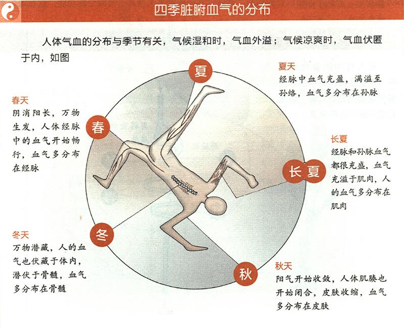 四季臟腑血氣是怎樣分布的？