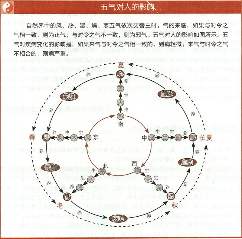 六氣與人體及萬物有何聯(lián)系？