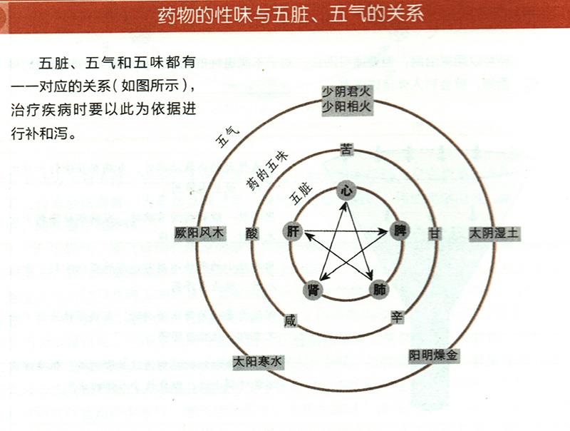 藥物的性味與五臟、五氣有什么關(guān)系？