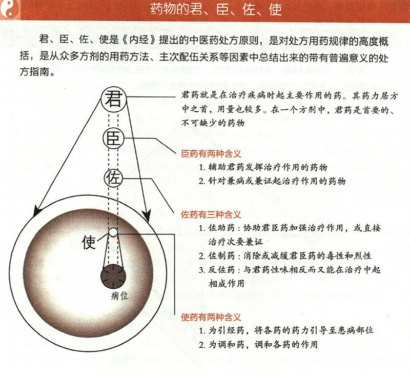 什么是藥物的君臣佐使？