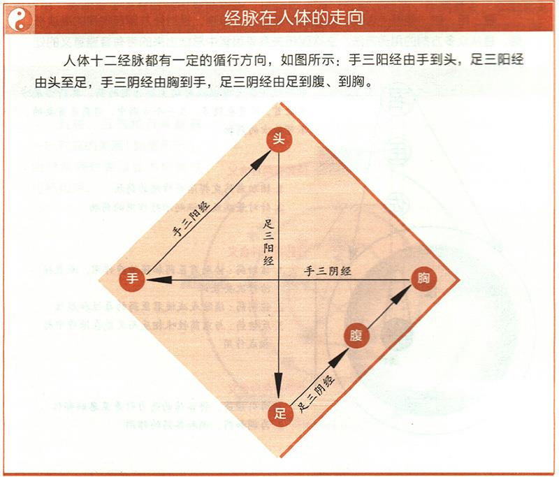 十二經(jīng)脈的起止點(diǎn)分別在哪里？