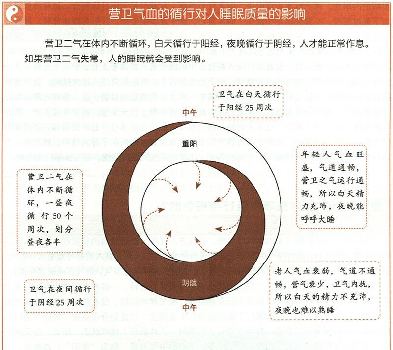 營衛(wèi)二氣在體內(nèi)是怎樣運行與相會的？