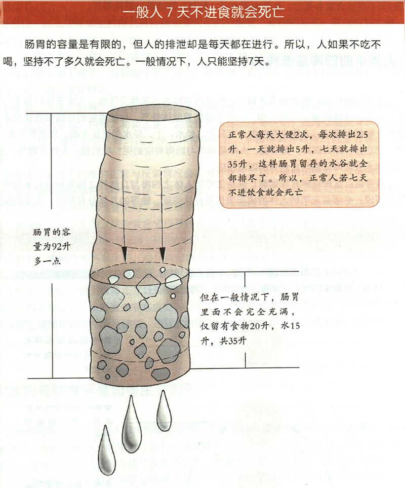 為什么7天不進食就會死亡？