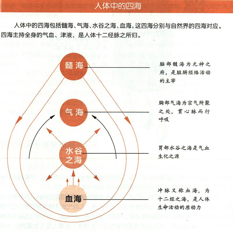 人體中的四海是怎樣的？