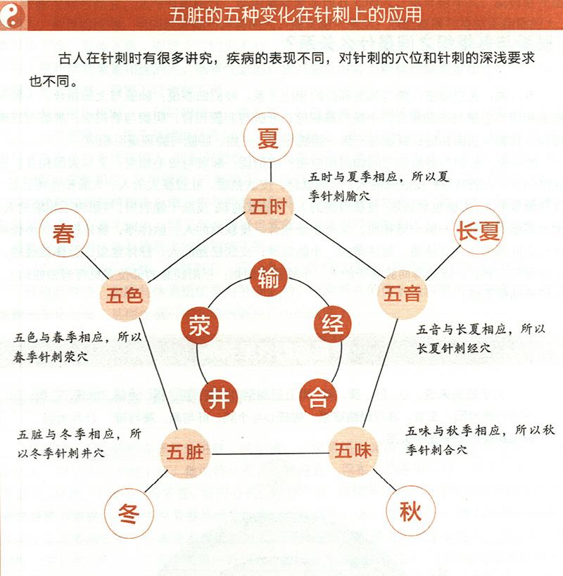 五臟的五種變化對(duì)應(yīng)的不同針刺法有哪些？