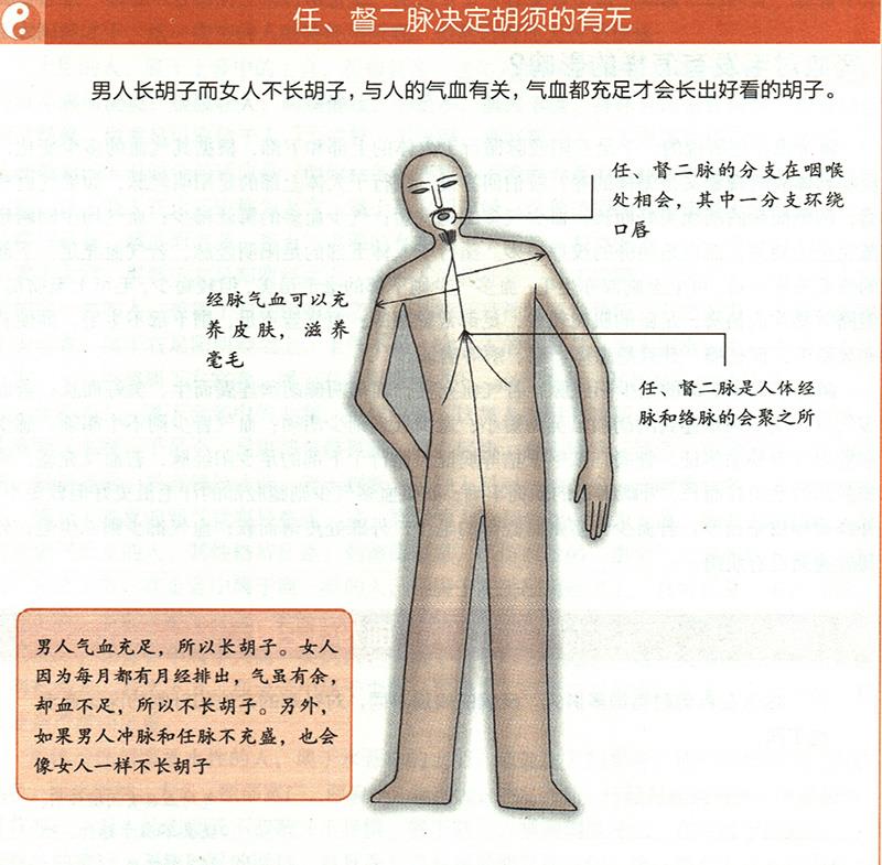 氣血對(duì)毛發(fā)有怎樣的影響？