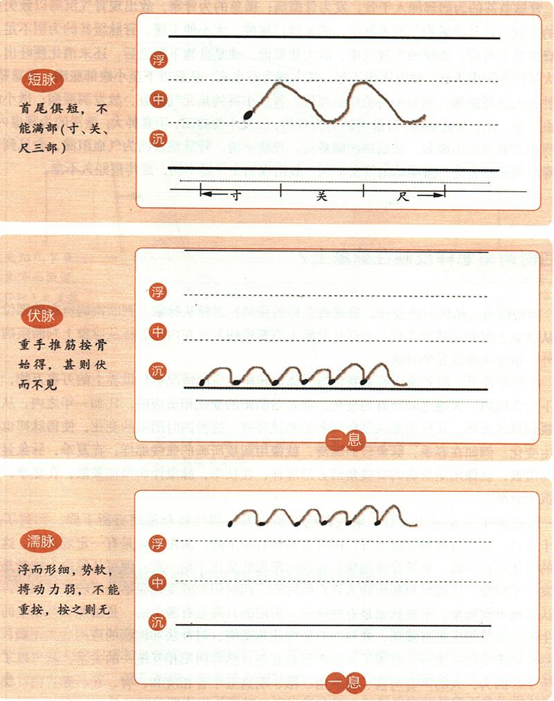 緩、急、小、大、滑、澀六種脈象所對(duì)應(yīng)的病狀情形是怎樣的？