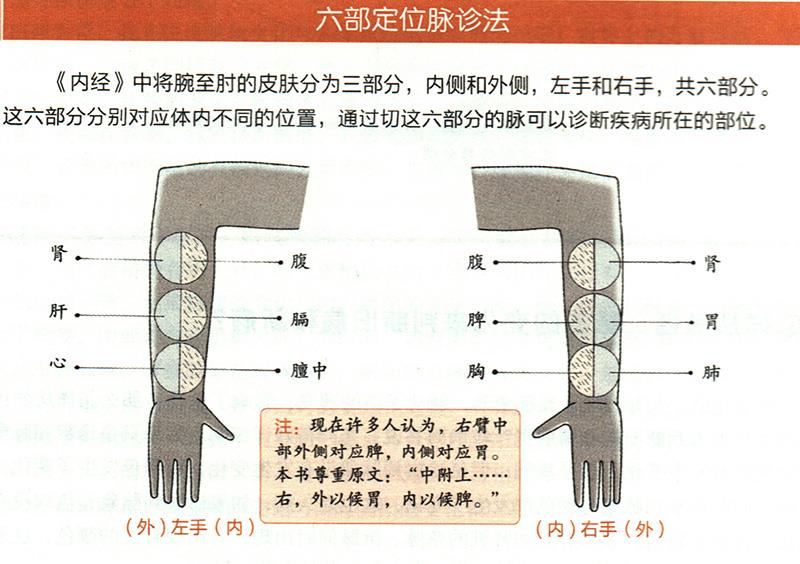 如何在尺膚上診斷疾??？